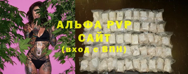 спиды Дмитриев