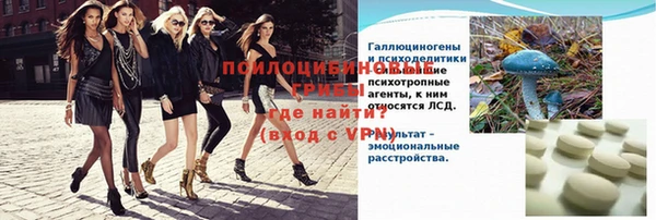 спиды Дмитриев
