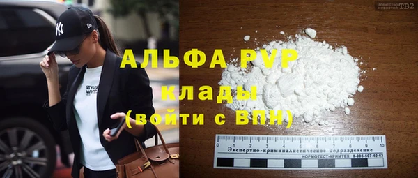 спиды Дмитриев
