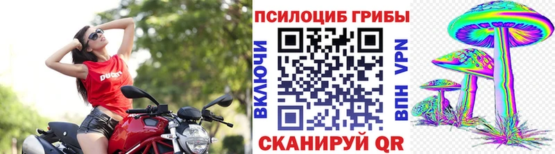 Псилоцибиновые грибы Psilocybine cubensis  Купить где  Рыльск 